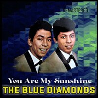 Rio Nights - The Blue Diamonds