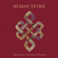 Insanity - Human Tetris