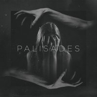 Better Chemicals - Palisades