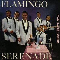 Music, Maestro, Please! - The Flamingos