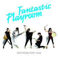 Hiding On The Staircase - New Young Pony Club