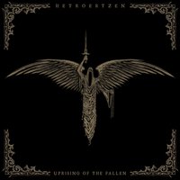 The Fallen Star - Hetroertzen