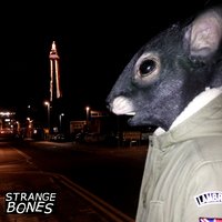 We The Rats - Strange Bones