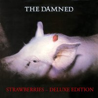 Torture Me - The Damned