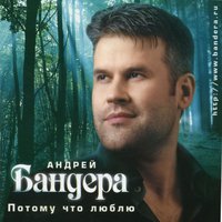 Голуби - Андрей Бандера