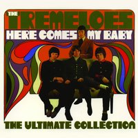 (Call Me) Number One - The Tremeloes