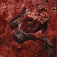 Parasitic Infestation (Extracted Pus, Mistaken for Yogurt, and Then Gargled) - Cattle Decapitation