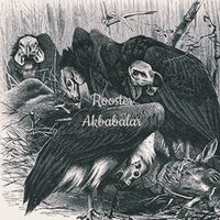 Akbabalar - Rooster