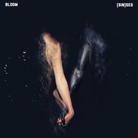 Raindrops - Bloom, Dylan Brady