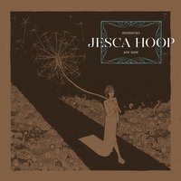 Animal Kingdom Chaotic - Jesca Hoop