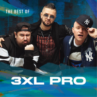 Билет на самолёт - 3 XL PRO