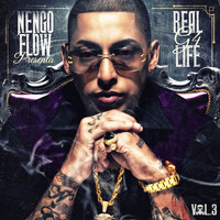 Hoy - Nengo Flow