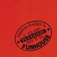 Little Wing - Marius Müller, Funhouse