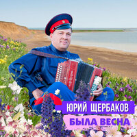 Не влюбляйтесь в молодость, ребятушки - Юрий Щербаков