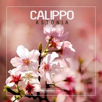 Playing Games - Calippo
