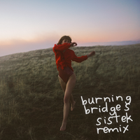 Burning Bridges - Ella Vos, Sistek