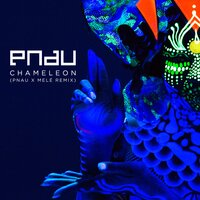 Chameleon - PNAU, Melé