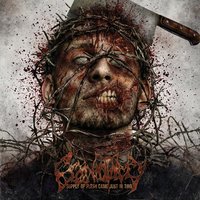 Executioners Violation - Craniotomy