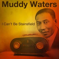 Just Make Love to Me (I Just Want to Make Love to You) - Muddy Waters