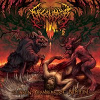 Inhaling a Vomitous Iniquity - Disentomb