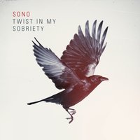 Twist in My Sobriety - Sono