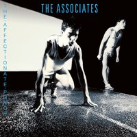 Even Dogs in the Wild - The Associates