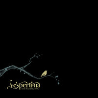 Girl In The Basement - Vespertina