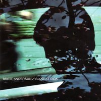 The Hunted - Brett Anderson