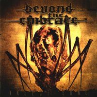 Insect Song - Beyond The Embrace