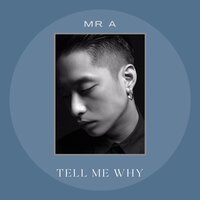Tell Me Why - Mr A