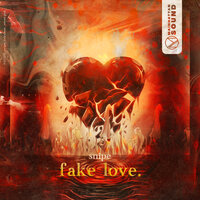 Fake Love - Snipe
