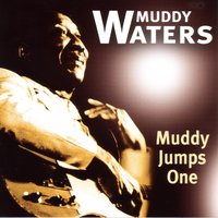 Sittin' Here And Drinkin' whiskey Blues - Muddy Waters