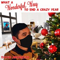 What a Wonderful Way to End a Crazy Year - David Archuleta