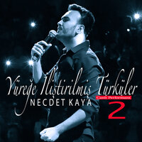 Ne Feryad Edersin Divane Bülbül - Necdet Kaya