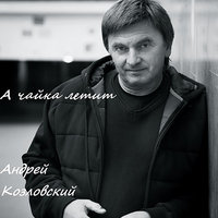 Речка голубая - Андрей Козловский