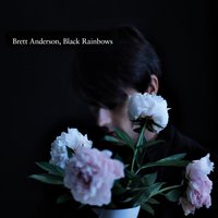 In the House of Numbers - Brett Anderson