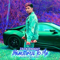 Beautiful to Me - Zack knight