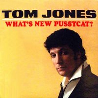 Little By Little - Tom Jones