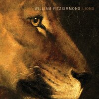 Lions - William Fitzsimmons