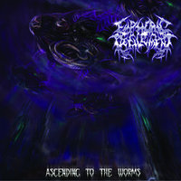 To Postulate Unconditional Perversions - Euphoric Defilement
