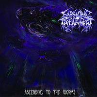 Rending Shades of Deformity - Euphoric Defilement