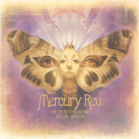 First-Time Mother's Joy (Flying) - Mercury Rev