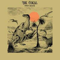 Today - The Coral