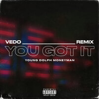 You Got It - Money Man, Young Dolph, VEDO