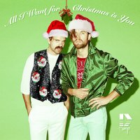 All I Want for Christmas Is You - The Darcys