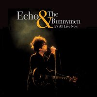 Friction - Echo & the Bunnymen