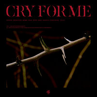 CRY FOR ME - TWICE