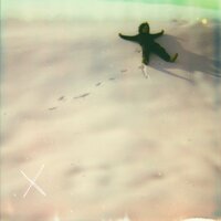X (Butterfly) - Wonstein