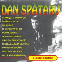 Nu Vreau Să Plângi - Dan Spataru