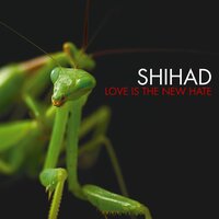 None of the Above - Shihad
